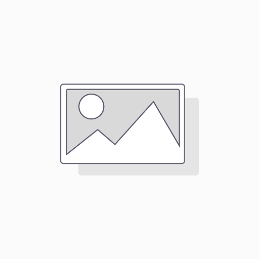 BrightSign HD500 Test